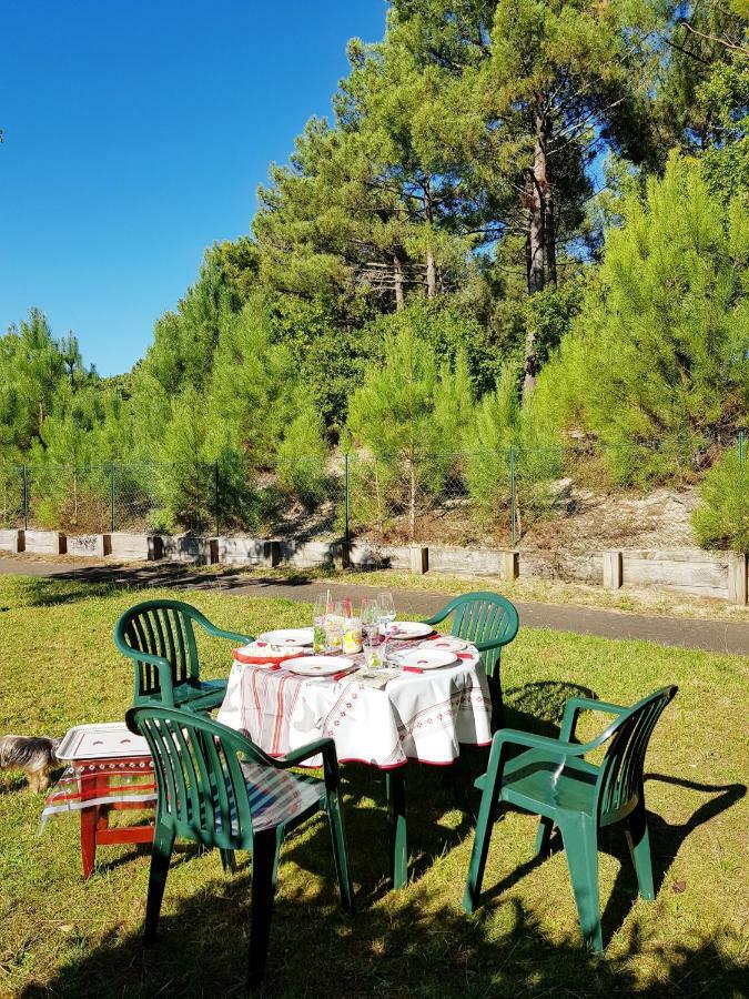 Appartement A Loue Domaine De Gasgogne A ビスカロッス エクステリア 写真